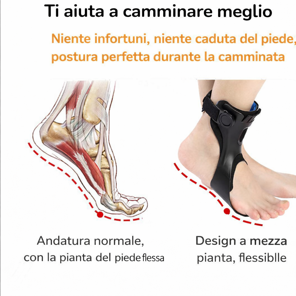 OrthoStep Support-Avelora