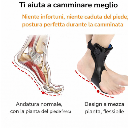 OrthoStep Support-Avelora